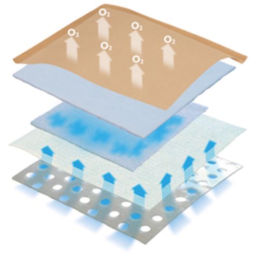 Eclypse Adherent Super Absorbent Dressing 10cm x 10cm - Advancis Medical EasyMeds Pharmacy