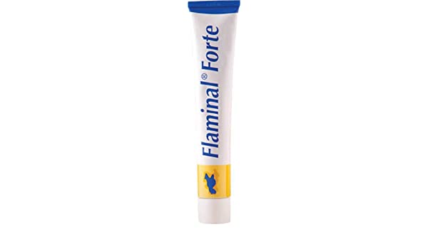 FLAMINAL Forte ALGINATE Gel 15g - Flaminal EasyMeds Pharmacy