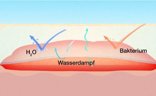 Suprasorb F Film Wound Dressing, 12cm x 10cm x 50 - L&R Medical EasyMeds Pharmacy