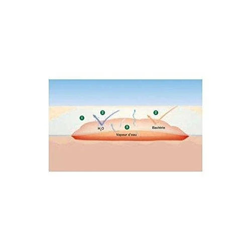 Suprasorb F Sterile Film Polyurethane Dressings 5cm x 7cm Pack of 10 - L&R Medical EasyMeds Pharmacy