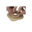 Hollister Adapt Convex Barrier Rings 40mm x 10 (79540)