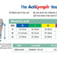 ActiLymph Class 1 Below Knee Open Toe Compression Stockings 18-21 mmHg