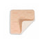 Advazorb Silfix Hydrophilic Foam Dressing 20cm x 20cm -   Advancis Medical EasyMeds Pharmacy