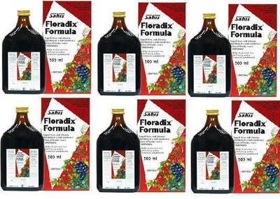 Floradix Iron Supplement (500ml x 6 Bottles) | EasyMeds Pharmacy