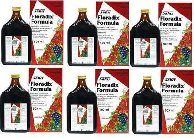 Floradix Iron Supplement (500ml x 6 Bottles) -   Salus EasyMeds Pharmacy